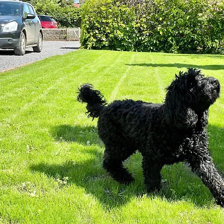 Rye Court And Annex Hemsley *