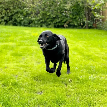 Rye Court And Annex Hemsley 度假居 *